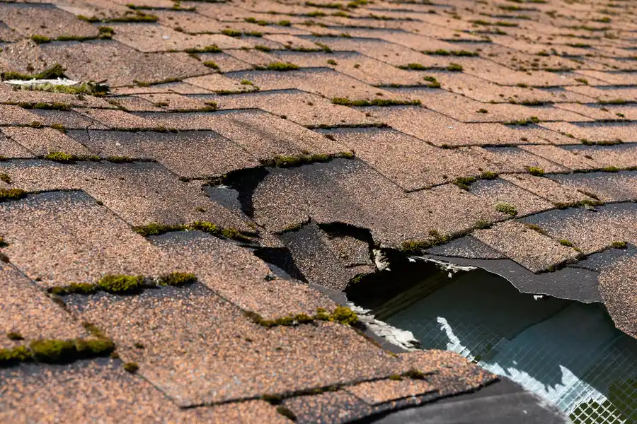 Expert Roof Maintenance Manassas VA